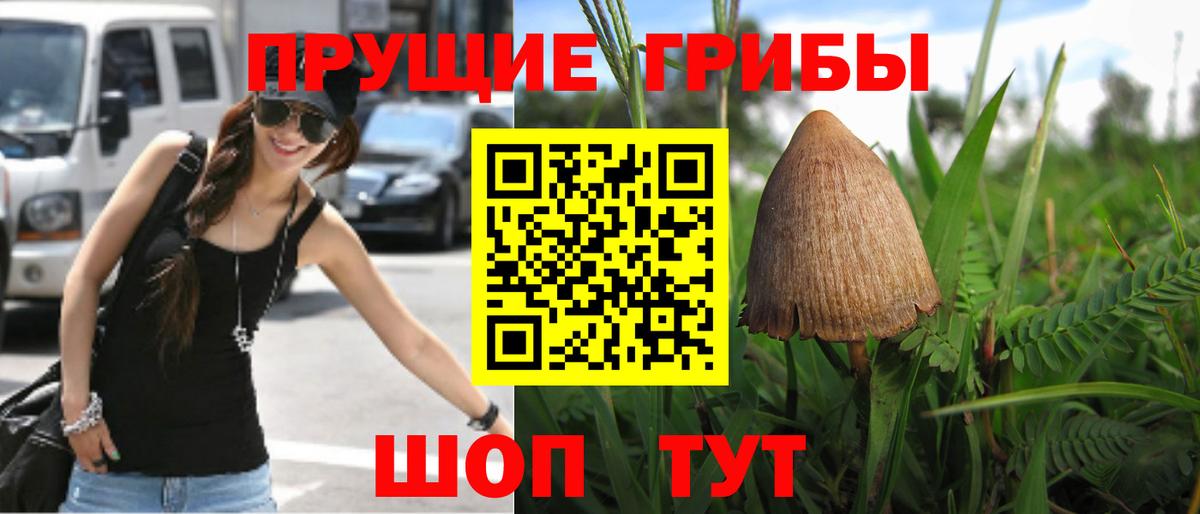 Галлюциногенные грибы мицелий  Вход с VPN  Псилоцибиновые грибы Cubensis  что такое   Дзержинский 